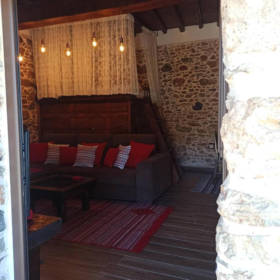 Areti'S Traditional House Apollona Εξωτερικό φωτογραφία
